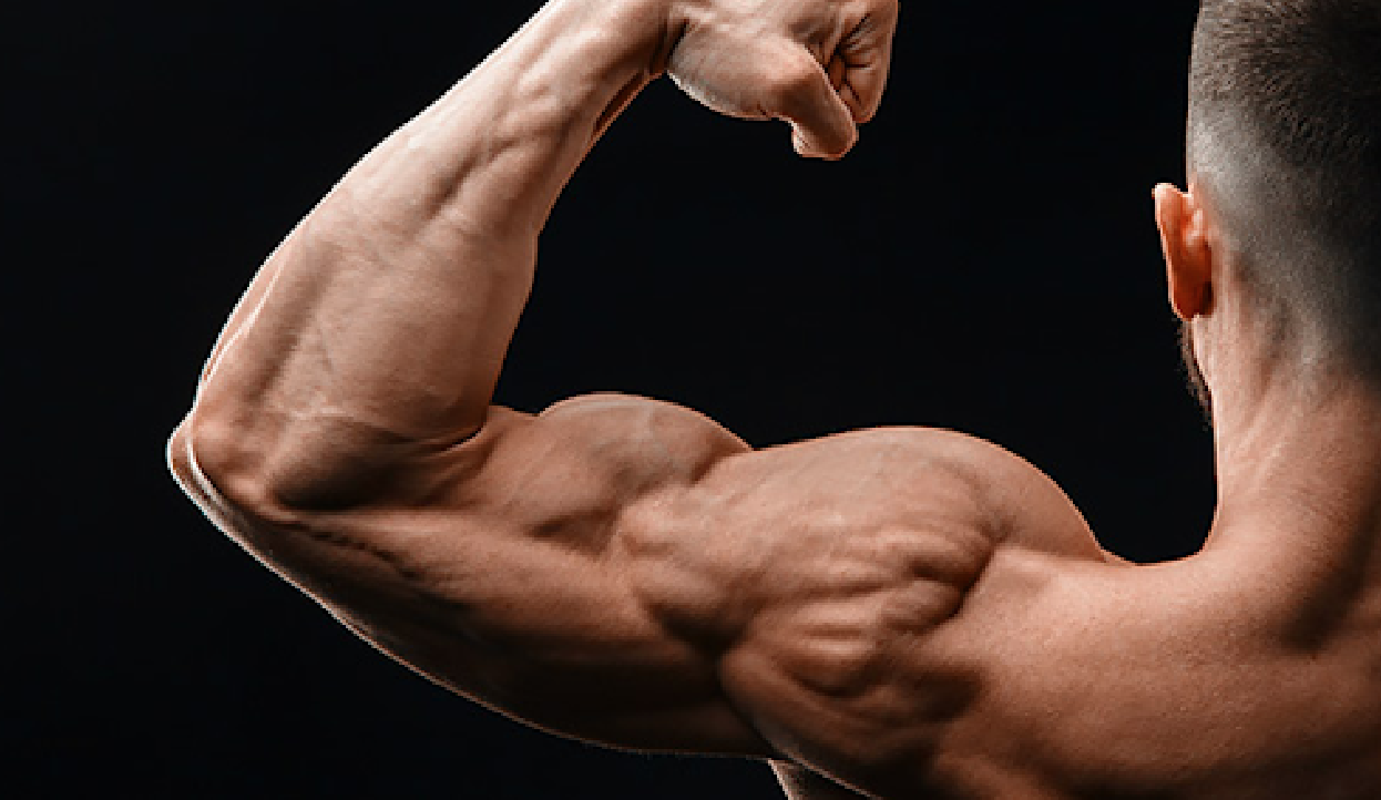  Badass Arms: Get Bigger Biceps, Triceps, and Shoulders in 12  Weeks - A Men's Health Training Guide eBook : Trink, Dan: Kindle Store